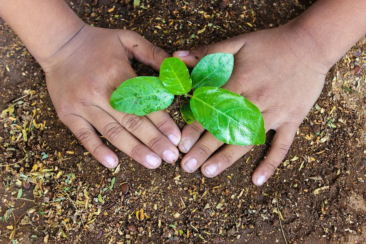 Gardener working soil into a flower bed by hand