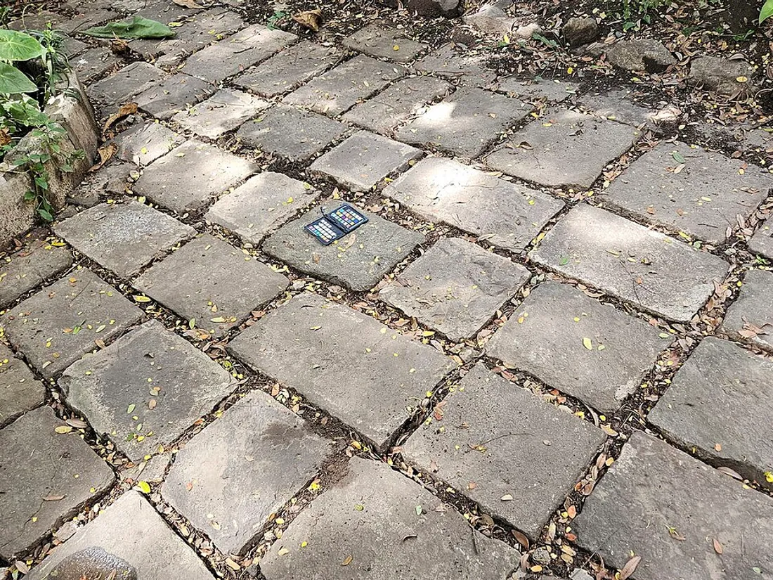 Stone paving pathway winding through a planted residential garden