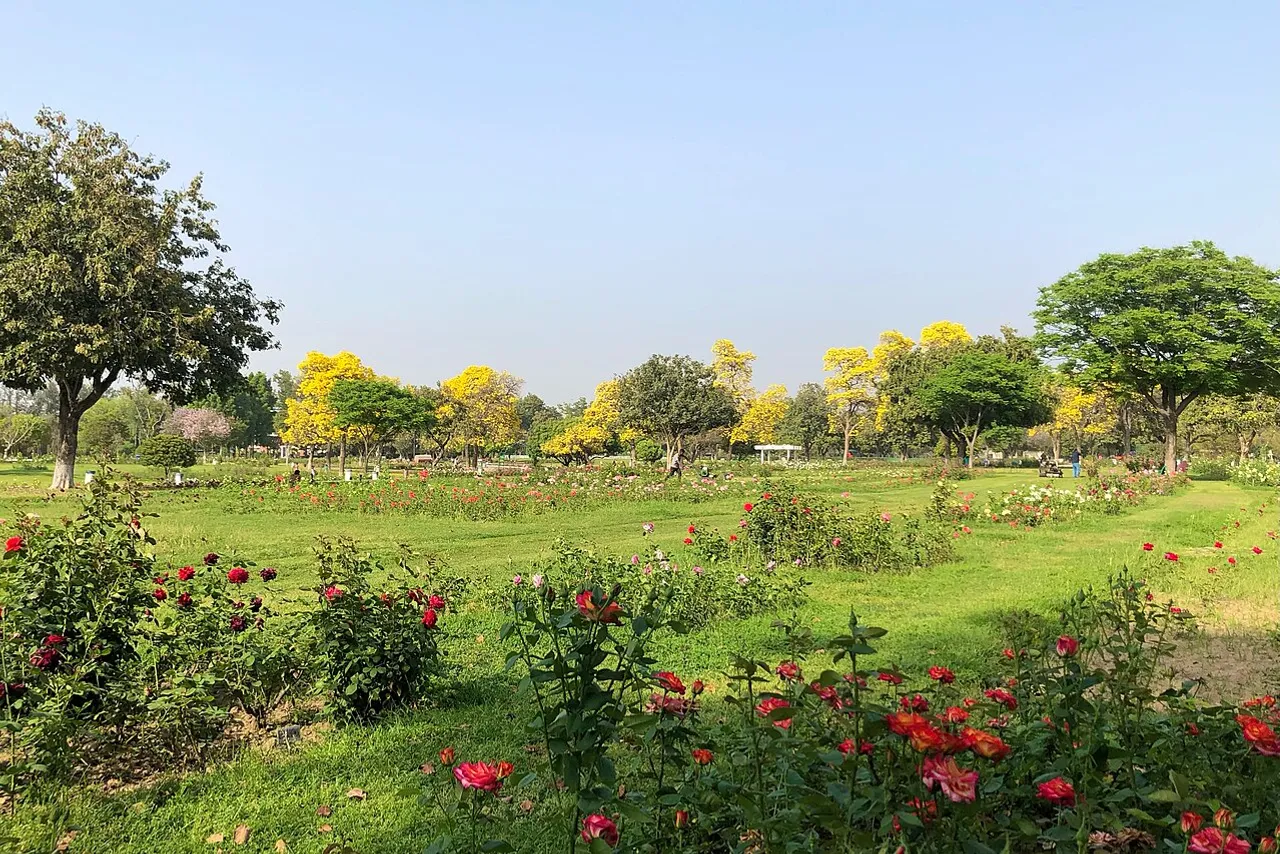 Colourful planted flower beds being prepared in a Punjab garden before the monsoon